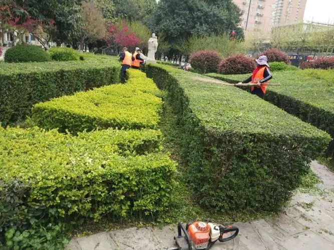 马鞍山道路立体绿化工程