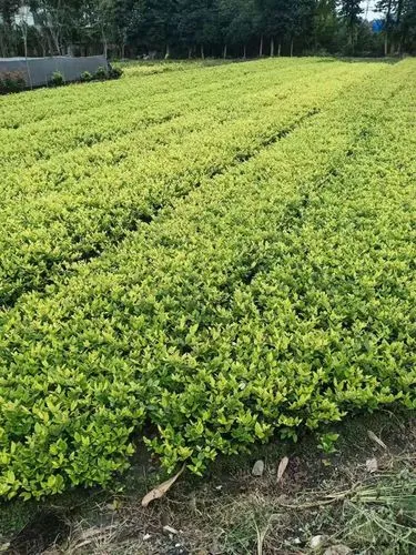 风景园林管理专业背景候选人必答问题，国企面试曝光！